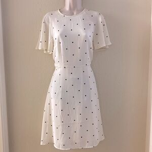 Adorable Polka Dot Drexx